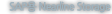 NearlineStorage